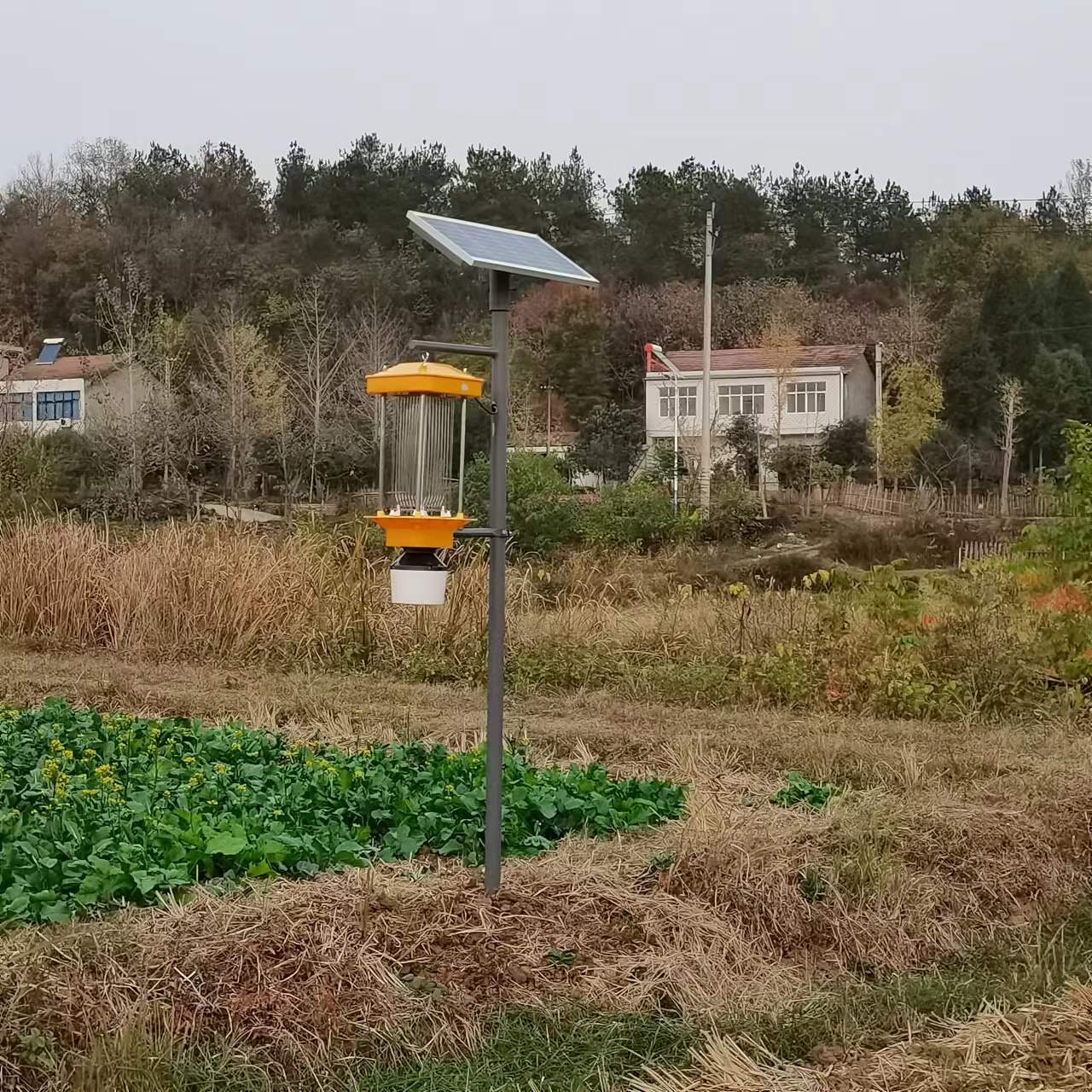 微信圖片_20221110084553.jpg 微信圖片_20221110084553.jpg